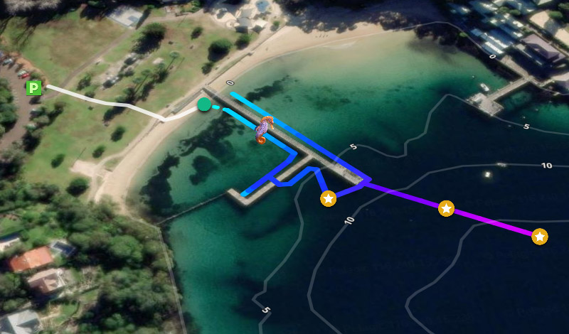 Dive Trails Preview