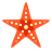 Star fish Icon